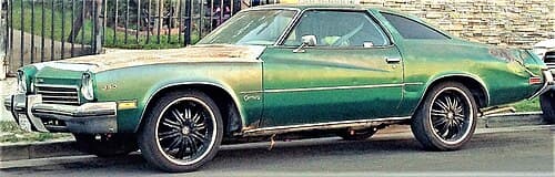 1973 Buick Century