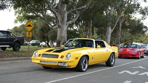 1981 Chevrolet Camaro