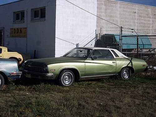 1980 Buick Firebird