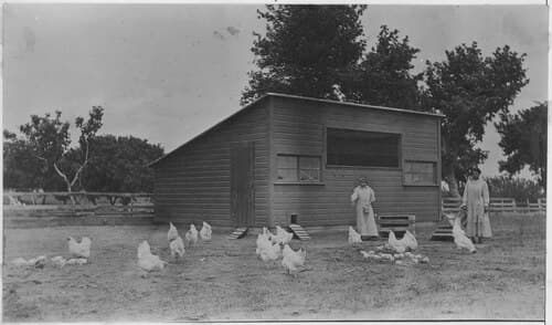 2023 Indian Springfield