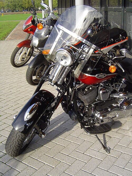 1981 Harley-Davidson Softail Springer