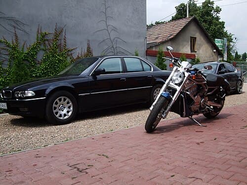 1984 Harley-Davidson TLE