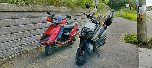 1986 Honda Elite