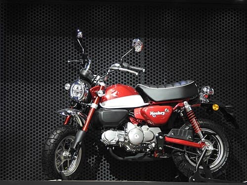2019 Honda Monkey